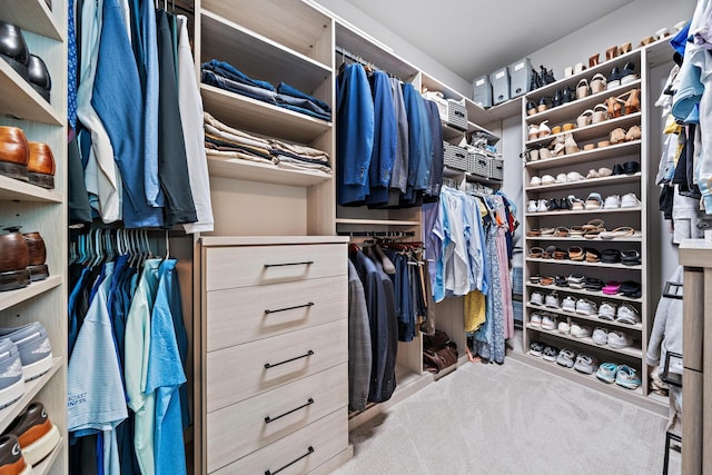 spacious closet with carpet