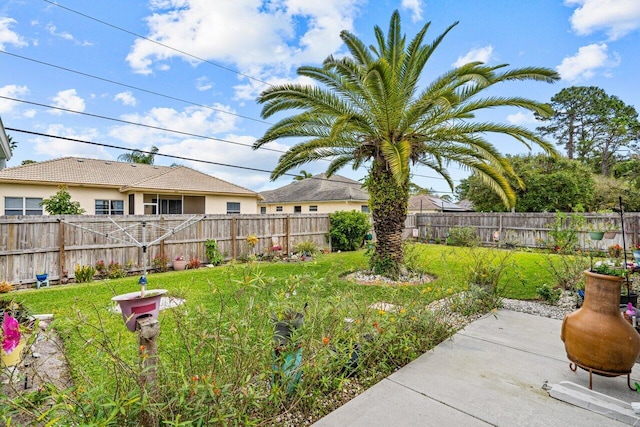 view of yard featuring a patio area and a fenced backyard