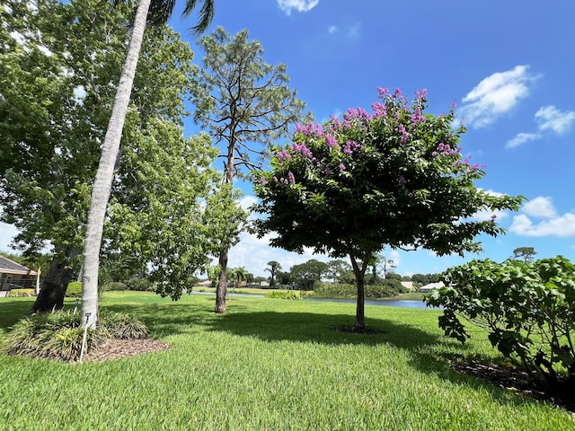 view of yard featuring a water view