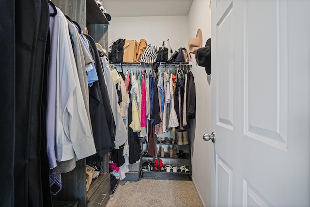 walk in closet featuring carpet flooring