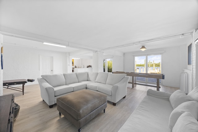 living area featuring light wood finished floors