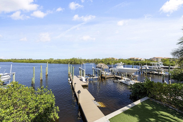 dock area featuring a water view and boat lift