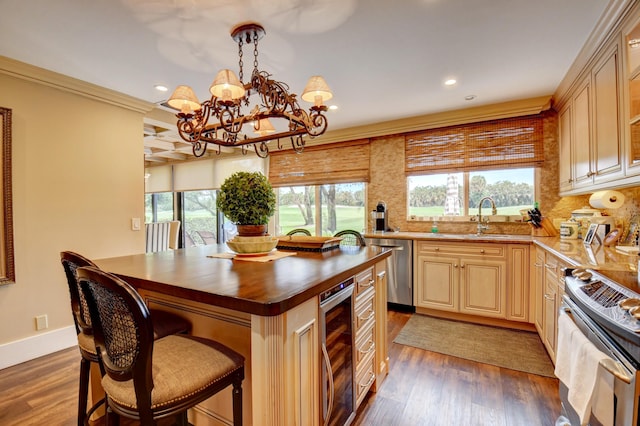 kitchen featuring appliances with stainless steel finishes, plenty of natural light, a sink, and dark wood-style floors