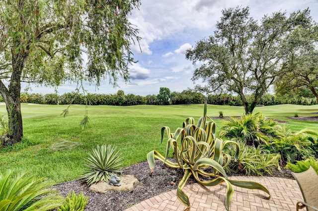 view of yard with view of golf course