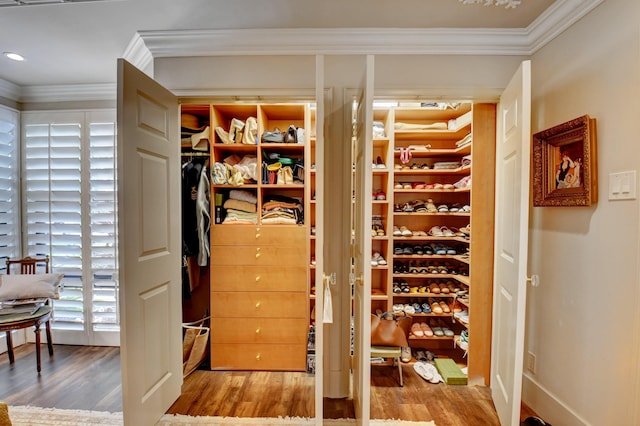 view of closet