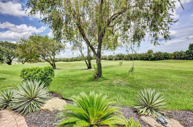 view of yard featuring view of golf course