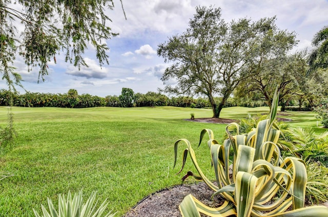 view of yard featuring golf course view