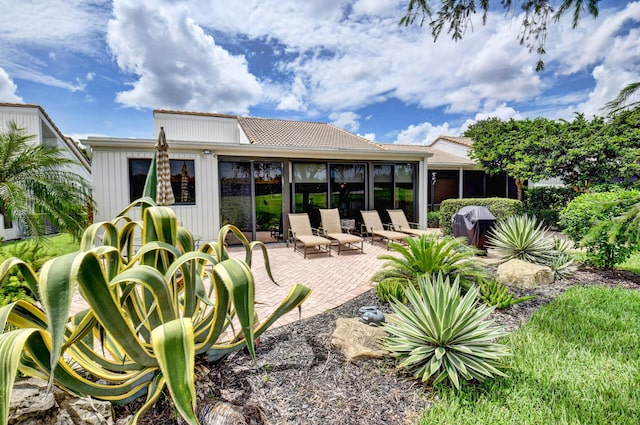 rear view of house featuring a patio and a sunroom