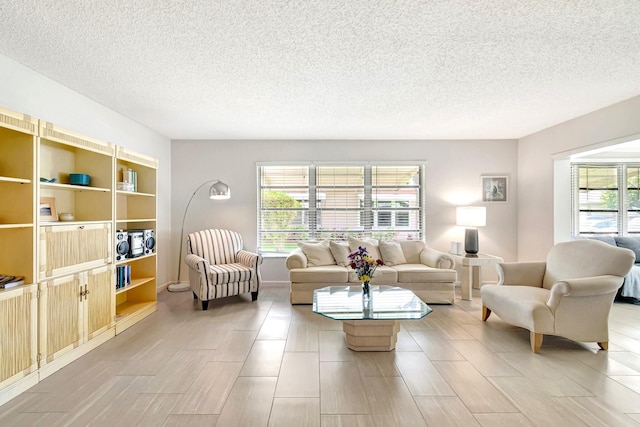 living room featuring a textured ceiling