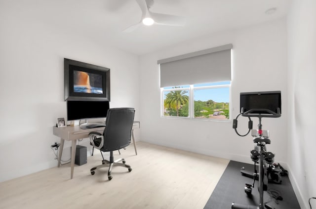 office featuring baseboards, ceiling fan, and wood finished floors