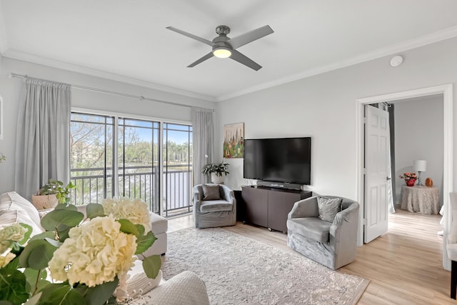 living area featuring light wood finished floors, ceiling fan, and ornamental molding