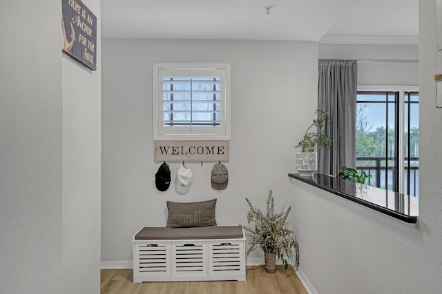 mudroom featuring baseboards, a wealth of natural light, and wood finished floors