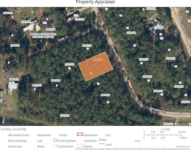 TBD Cornett Rd, Interlachen FL, 32148 land for sale