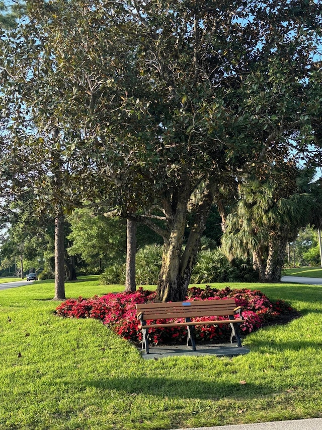 view of home's community with a lawn