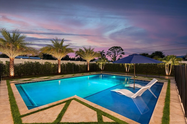 view of pool with a fenced backyard and a fenced in pool