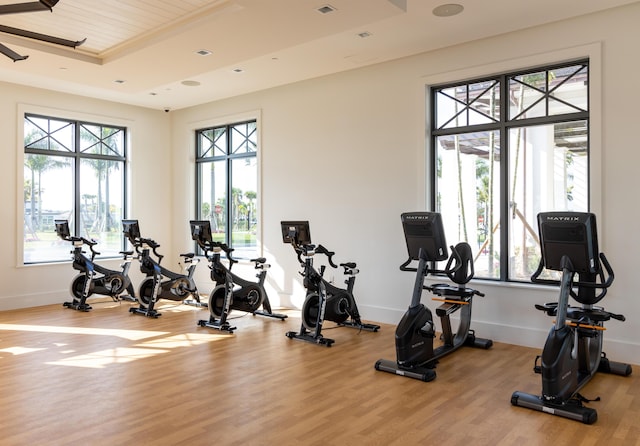 workout area with a raised ceiling, a healthy amount of sunlight, baseboards, and wood finished floors