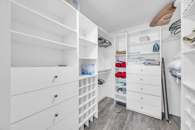 walk in closet with wood finished floors