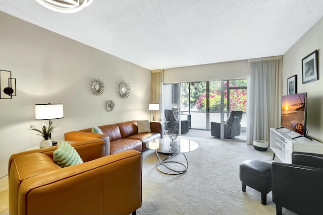 living area with a textured ceiling and carpet flooring