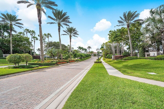 view of street featuring curbs and sidewalks