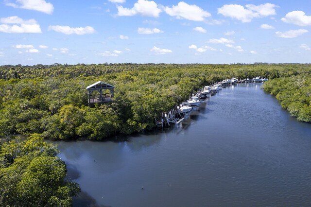 drone / aerial view featuring a forest view and a water view