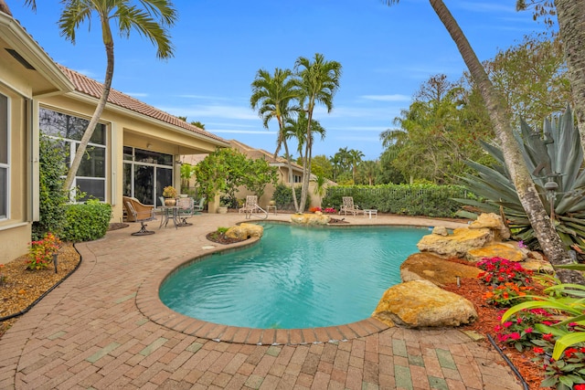 view of pool featuring a patio area and a fenced in pool