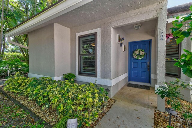 view of exterior entry with stucco siding