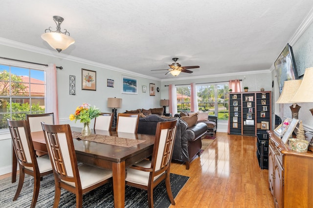 dining room with a wealth of natural light, crown molding, and light wood finished floors