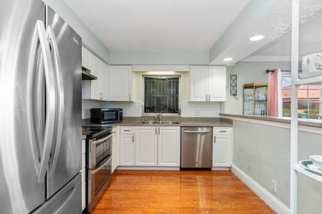 kitchen with light wood finished floors, tasteful backsplash, stainless steel appliances, under cabinet range hood, and a sink