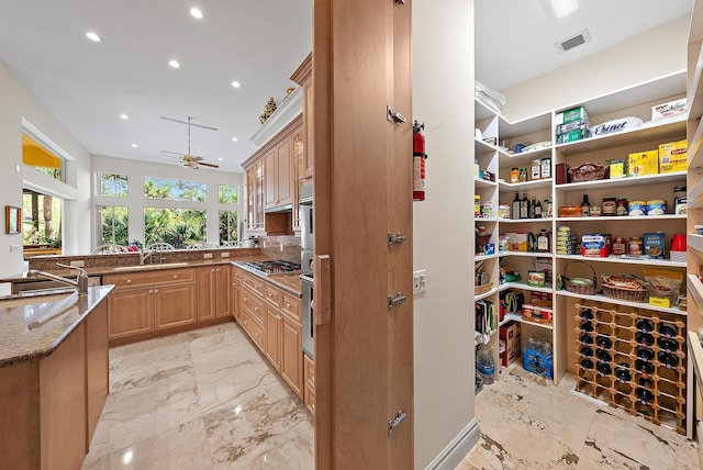 storage area with visible vents and a sink