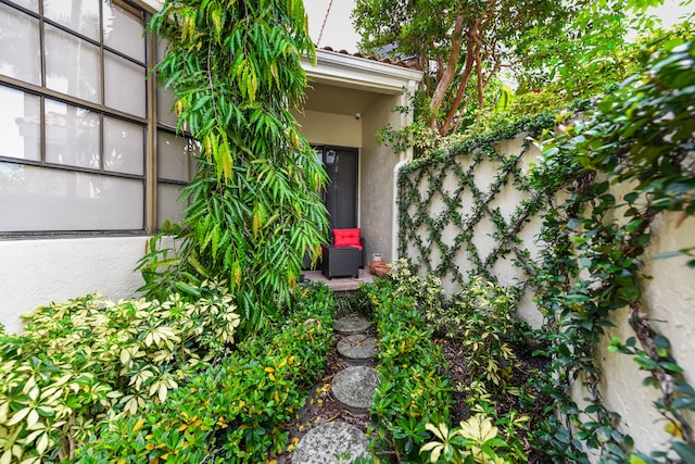 entrance to property with stucco siding