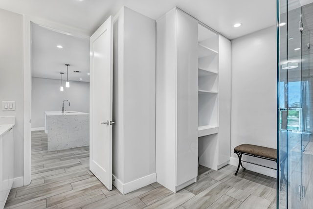 closet featuring a sink