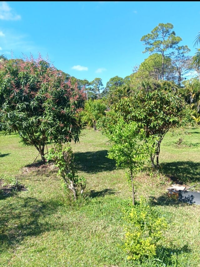 view of landscape