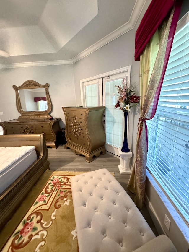 bedroom featuring ornamental molding, vaulted ceiling, wood finished floors, and a raised ceiling