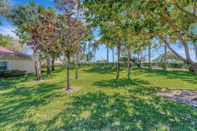 view of yard with fence