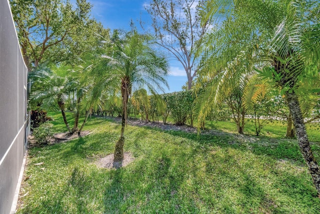 view of yard featuring a lanai