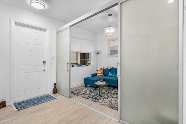 entrance foyer featuring wood finished floors