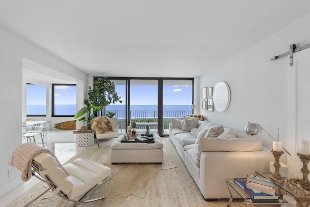 living area featuring expansive windows, a water view, and a barn door