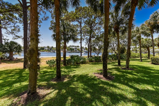 1001 Seafarer Cir Unit 102, Jupiter, FL 33477 - view of grassy yard with a water view