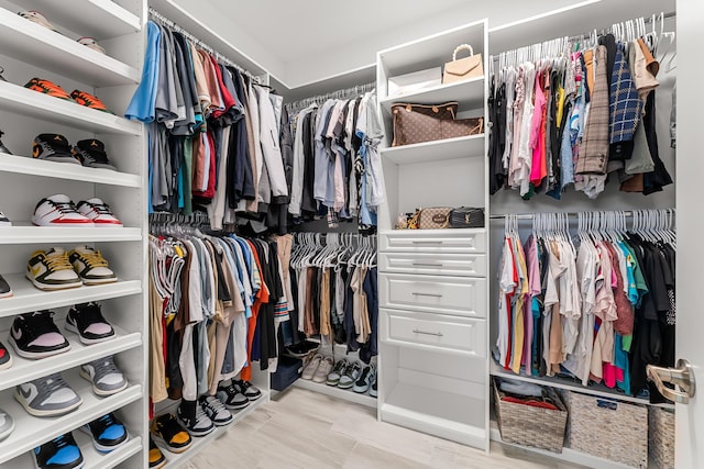 view of spacious closet