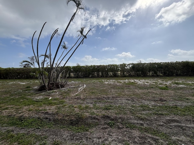 view of landscape