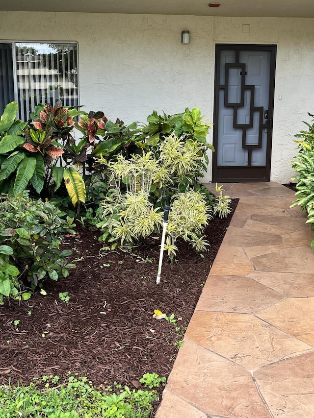 view of exterior entry featuring stucco siding