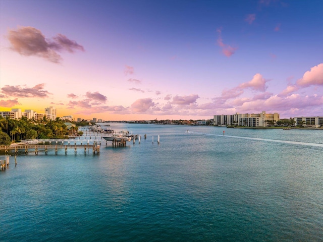 water view with a boat dock and a city view