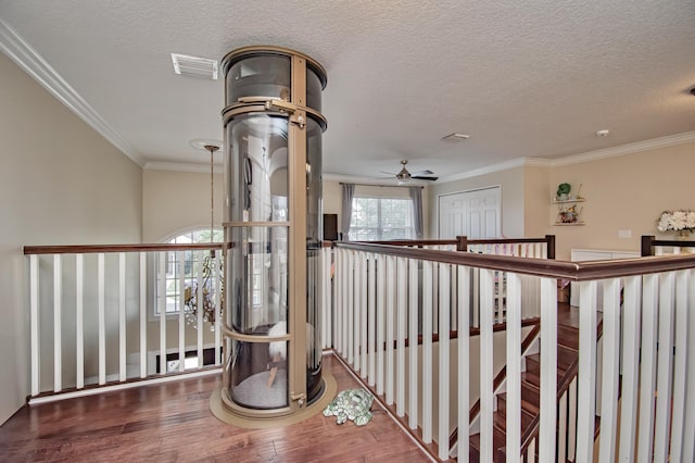 corridor with crown molding, wood finished floors, and visible vents