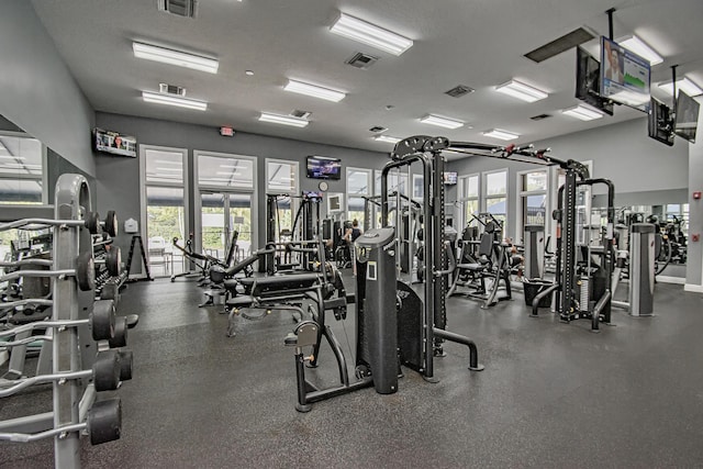 exercise room featuring a wealth of natural light and visible vents