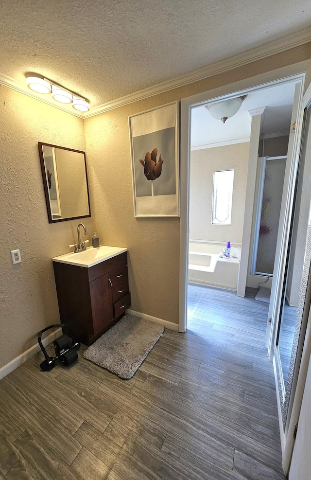 bathroom with ornamental molding, wood finished floors, and vanity