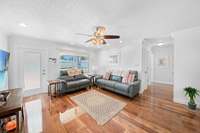 living area featuring ceiling fan, crown molding, light wood finished floors, and a textured ceiling