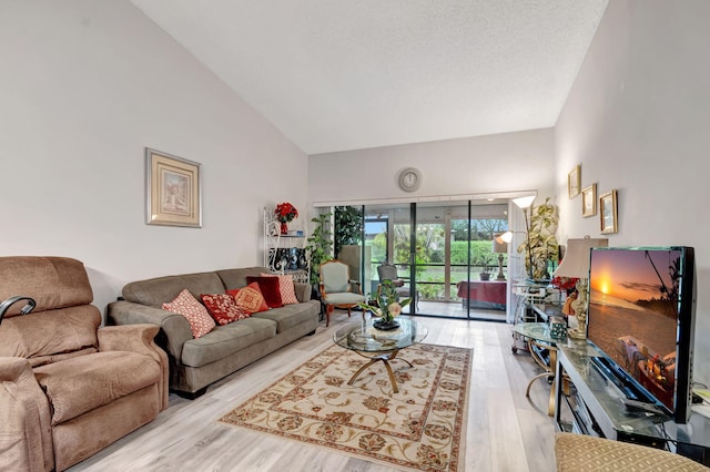 living area featuring high vaulted ceiling and wood finished floors