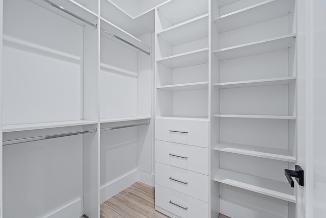 spacious closet featuring light wood finished floors