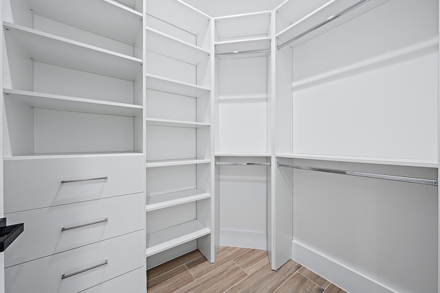 spacious closet featuring wood finished floors