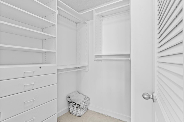 view of spacious closet